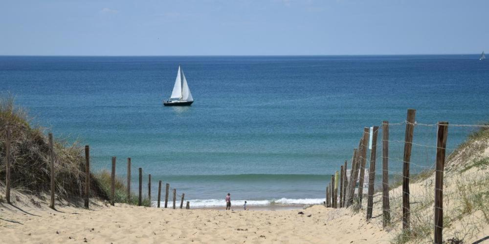 Maison Bassin D'Arcachon 8 Personnes, Spa, Proche Piste Cyclable Le Teich Zewnętrze zdjęcie
