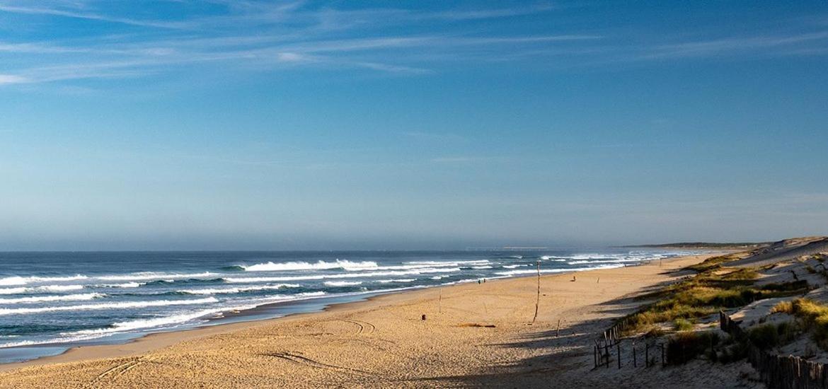 Maison Bassin D'Arcachon 8 Personnes, Spa, Proche Piste Cyclable Le Teich Zewnętrze zdjęcie